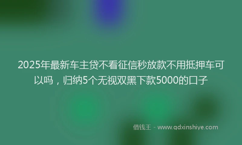 2025年最新车主贷不看征信秒放款不用抵押车可以吗，归纳5个无视双黑下款5000的口子