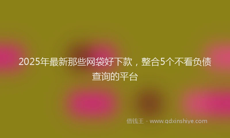 2025年最新那些网袋好下款，整合5个不看负债查询的平台