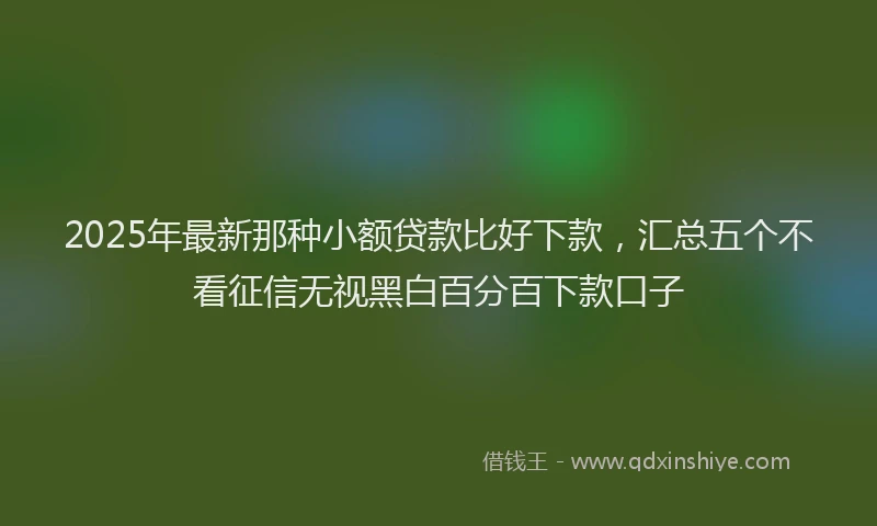 2025年最新那种小额贷款比好下款，汇总五个不看征信无视黑白百分百下款口子