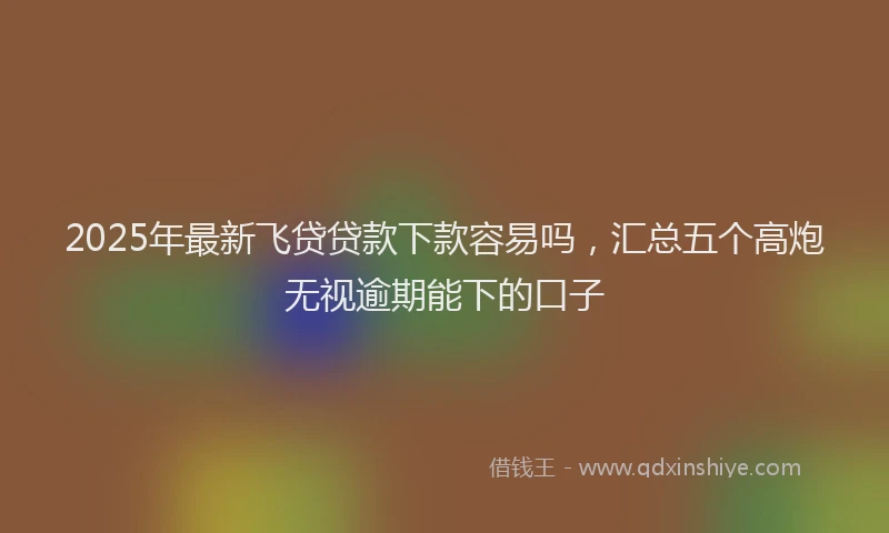 2025年最新飞贷贷款下款容易吗，汇总五个高炮无视逾期能下的口子