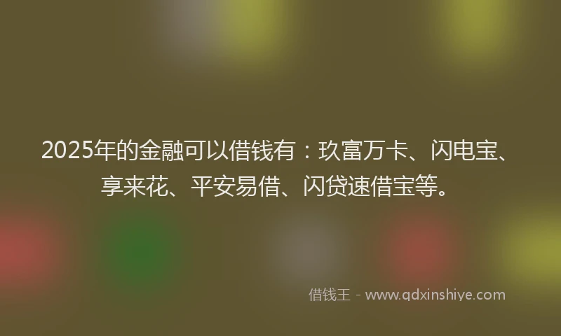 2025年的金融可以借钱有：玖富万卡、闪电宝、享来花、平安易借、闪贷速借宝等。