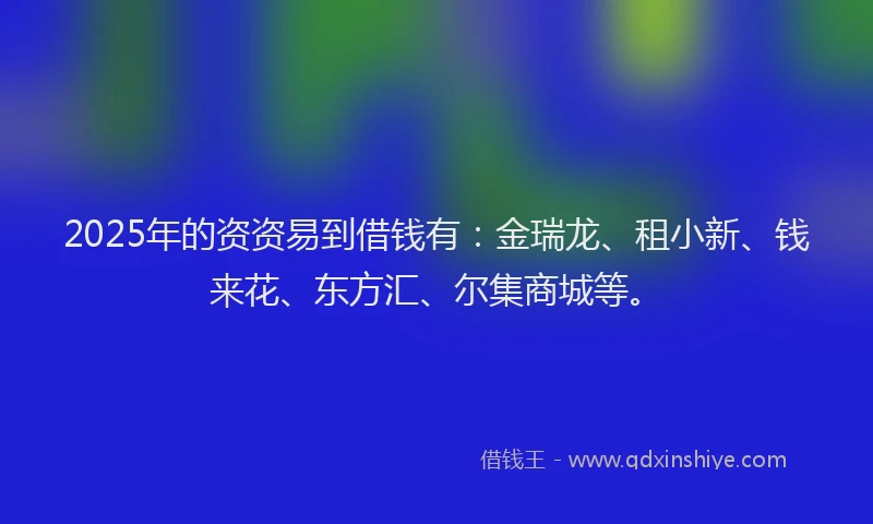2025年的资资易到借钱有：金瑞龙、租小新、钱来花、东方汇、尔集商城等。