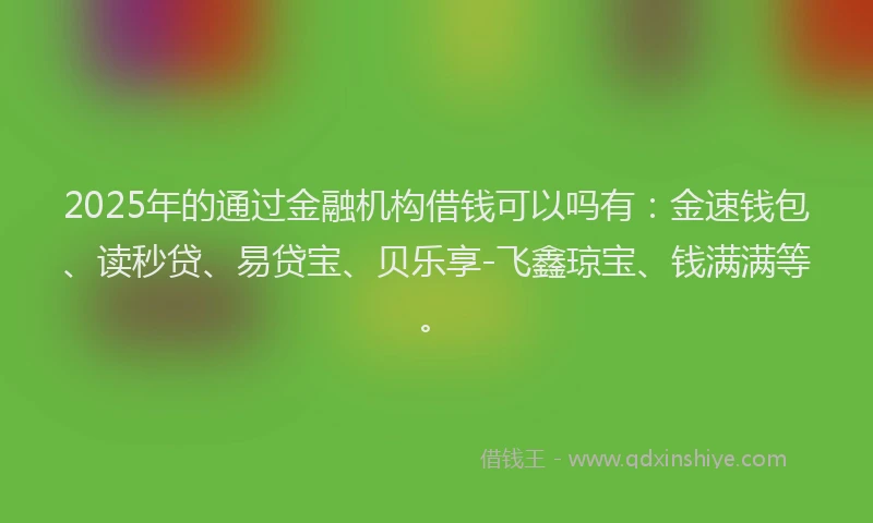 2025年的通过金融机构借钱可以吗有：金速钱包、读秒贷、易贷宝、贝乐享-飞鑫琼宝、钱满满等。