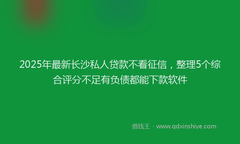 2025年最新长沙私人贷款不看征信，整理5个综合评分不足有负债都能下款软件