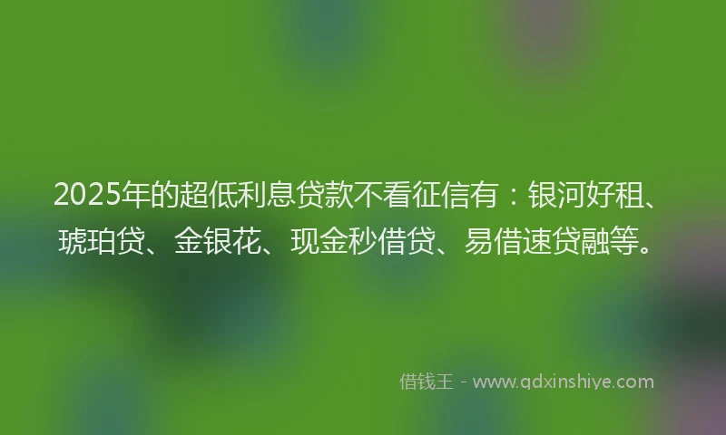 2025年的超低利息贷款不看征信有：银河好租、琥珀贷、金银花、现金秒借贷、易借速贷融等。