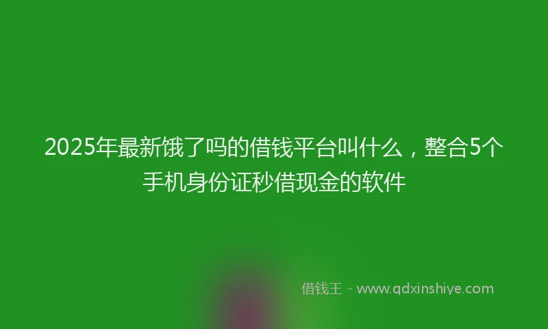 2025年最新饿了吗的借钱平台叫什么，整合5个手机身份证秒借现金的软件