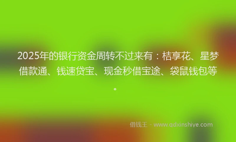 2025年的银行资金周转不过来有：桔享花、星梦借款通、钱速贷宝、现金秒借宝途、袋鼠钱包等。