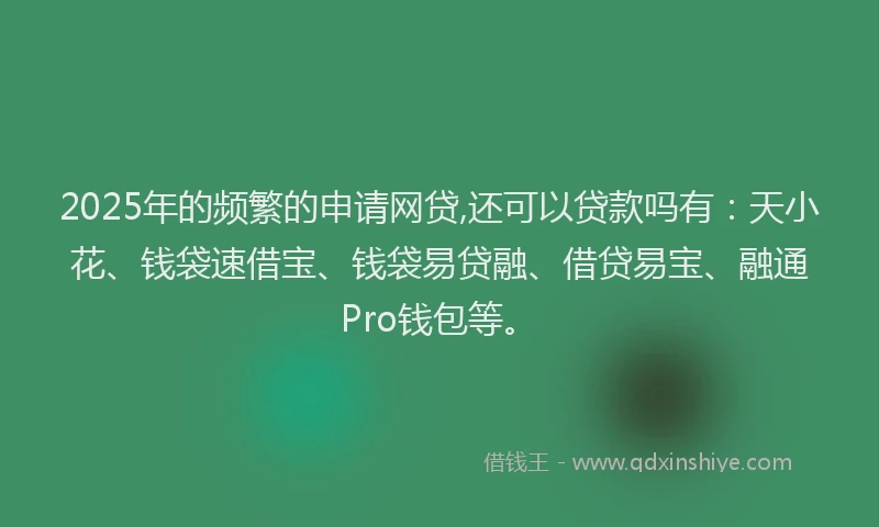 2025年的频繁的申请网贷,还可以贷款吗有：天小花、钱袋速借宝、钱袋易贷融、借贷易宝、融通Pro钱包等。