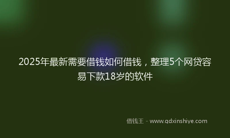 2025年最新需要借钱如何借钱,整理5个网贷容易下款18岁的软件