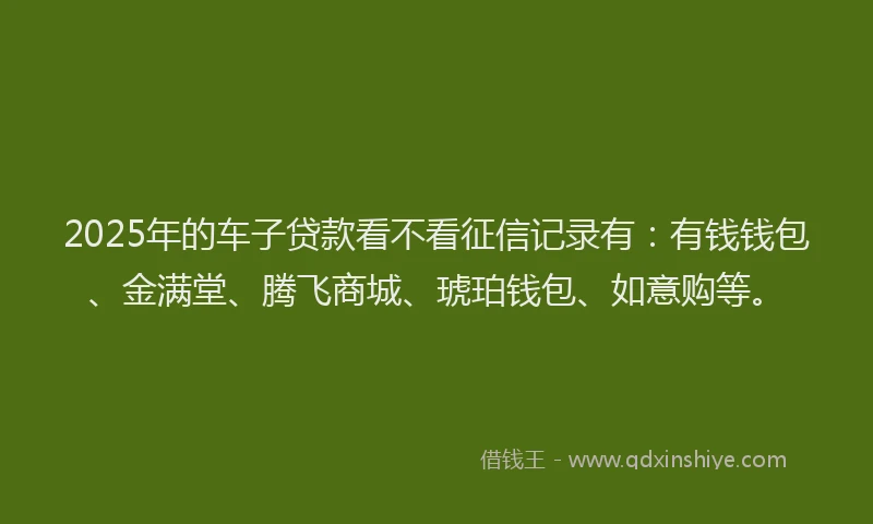 2025年的车子贷款看不看征信记录有：有钱钱包、金满堂、腾飞商城、琥珀钱包、如意购等。