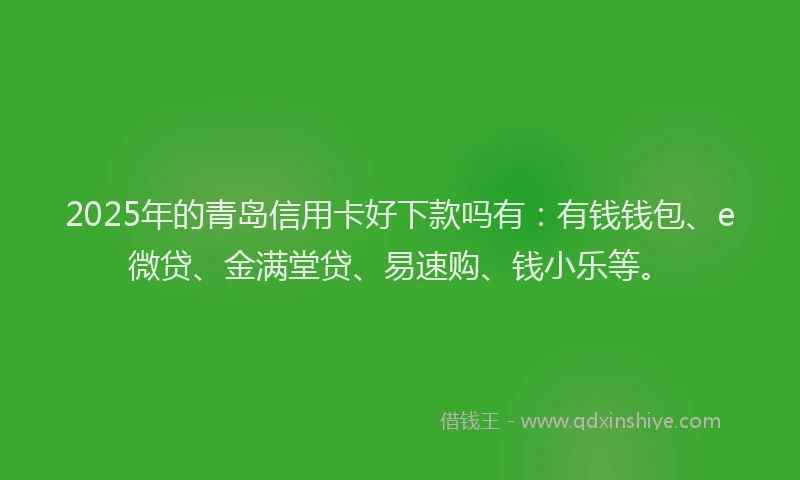 2025年的青岛信用卡好下款吗有：有钱钱包、e微贷、金满堂贷、易速购、钱小乐等。