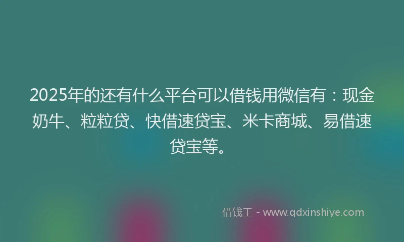 2025年的还有什么平台可以借钱用微信有：现金奶牛、粒粒贷、快借速贷宝、米卡商城、易借速贷宝等。