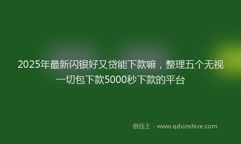 2025年最新闪银好又贷能下款嘛，整理五个无视一切包下款5000秒下款的平台