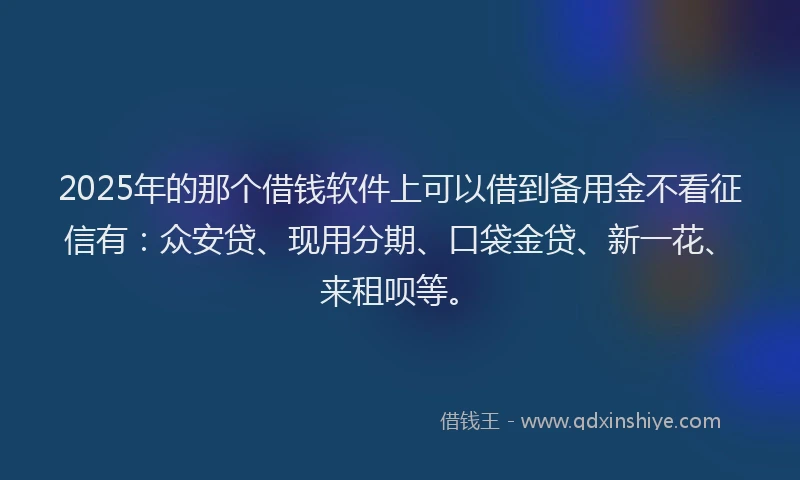 2025年的那个借钱软件上可以借到备用金不看征信有：众安贷、现用分期、口袋金贷、新一花、来租呗等。