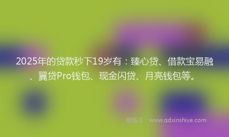 2025年的贷款秒下19岁有：臻心贷、借款宝易融、翼贷Pro钱包、现金闪贷、月亮钱包等。