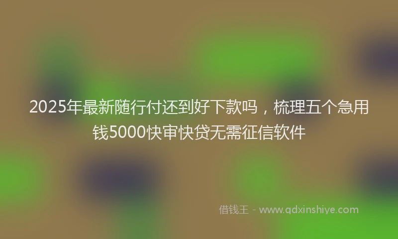 2025年最新随行付还到好下款吗，梳理五个急用钱5000快审快贷无需征信软件