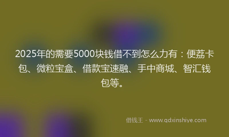 2025年的需要5000块钱借不到怎么力有：便荔卡包、微粒宝盒、借款宝速融、手中商城、智汇钱包等。