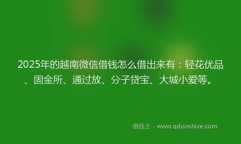 2025年的越南微信借钱怎么借出来有：轻花优品、固金所、通过放、分子贷宝、大城小爱等。