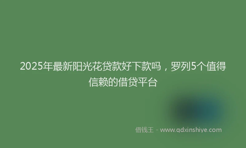2025年最新阳光花贷款好下款吗，罗列5个值得信赖的借贷平台