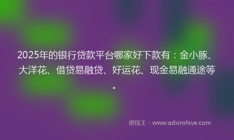 2025年的银行贷款平台哪家好下款有：金小豚、大洋花、借贷易融贷、好运花、现金易融通途等。