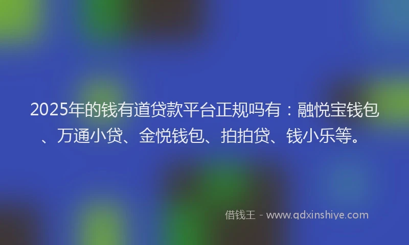 2025年的钱有道贷款平台正规吗有：融悦宝钱包、万通小贷、金悦钱包、拍拍贷、钱小乐等。