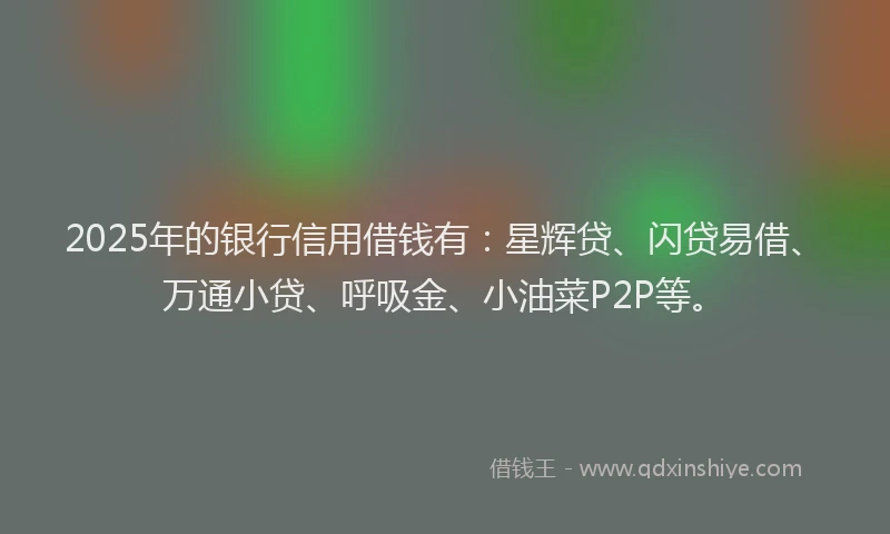 2025年的银行信用借钱有：星辉贷、闪贷易借、万通小贷、呼吸金、小油菜P2P等。