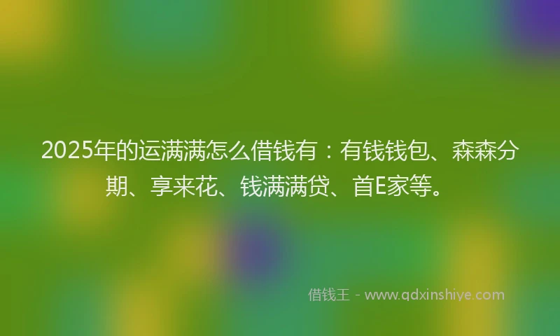 2025年的运满满怎么借钱有：有钱钱包、森森分期、享来花、钱满满贷、首E家等。