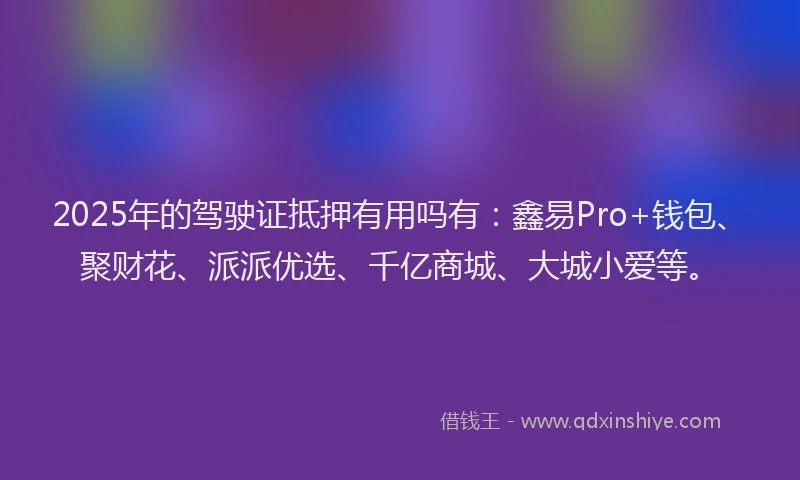 2025年的驾驶证抵押有用吗有：鑫易Pro+钱包、聚财花、派派优选、千亿商城、大城小爱等。