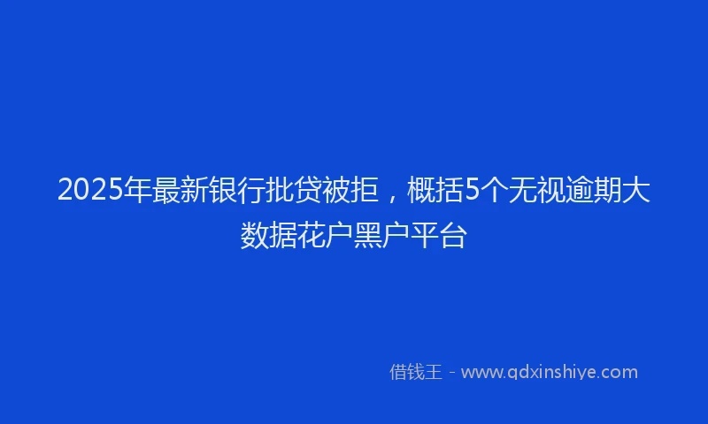 2025年最新银行批贷被拒，概括5个无视逾期大数据花户黑户平台