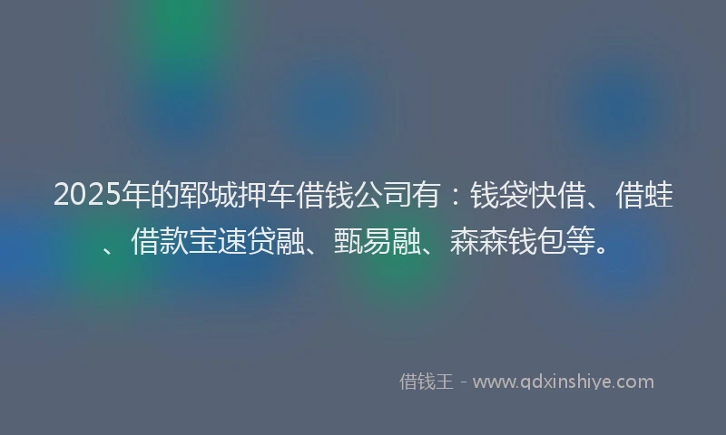 2025年的郓城押车借钱公司有：钱袋快借、借蛙、借款宝速贷融、甄易融、森森钱包等。