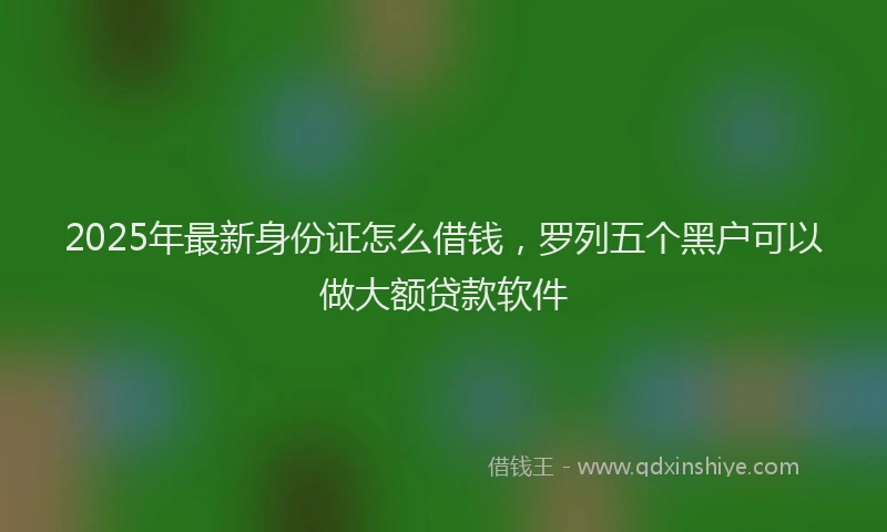 2025年最新身份证怎么借钱，罗列五个黑户可以做大额贷款软件