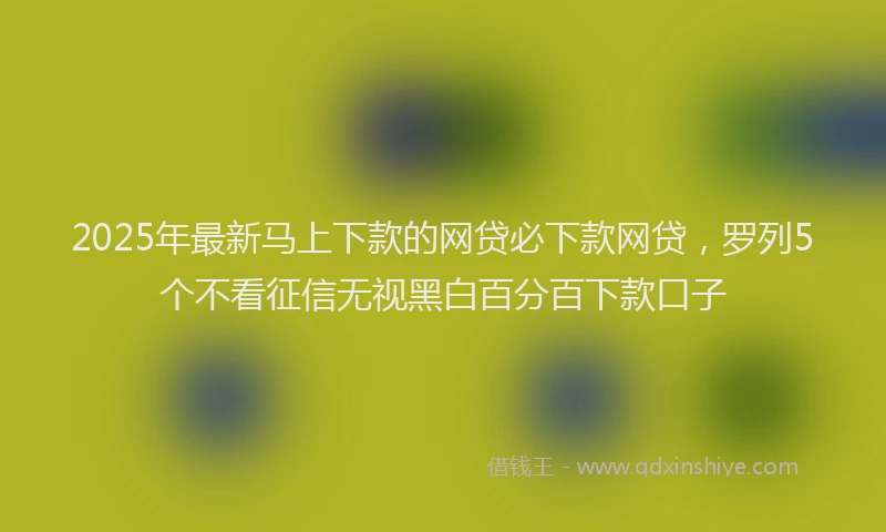2025年最新马上下款的网贷必下款网贷，罗列5个不看征信无视黑白百分百下款口子