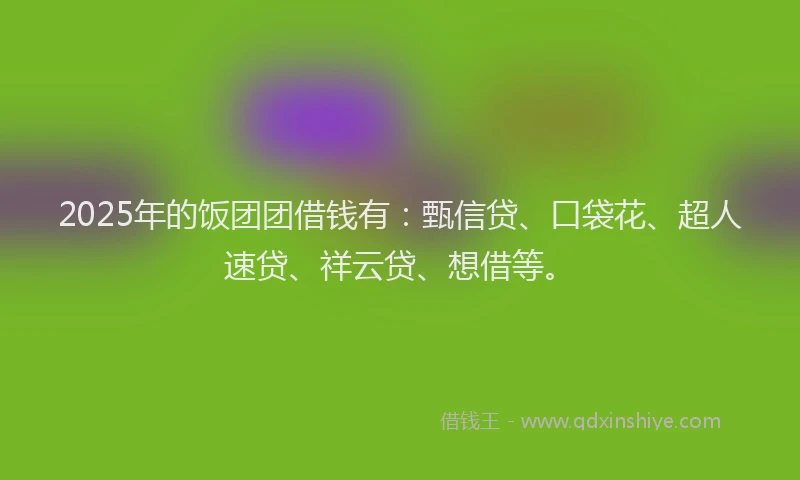 2025年的饭团团借钱有：甄信贷、口袋花、超人速贷、祥云贷、想借等。
