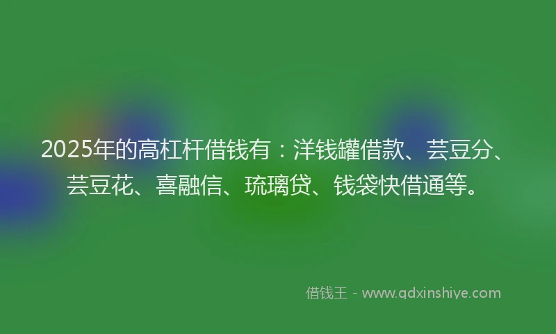2025年的高杠杆借钱有：洋钱罐借款、芸豆分、芸豆花、喜融信、琉璃贷、钱袋快借通等。