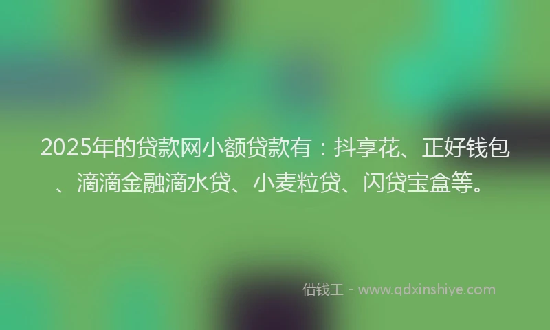 2025年的贷款网小额贷款有：抖享花、正好钱包、滴滴金融滴水贷、小麦粒贷、闪贷宝盒等。