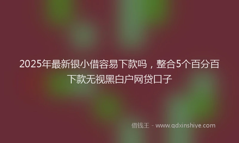 2025年最新银小借容易下款吗，整合5个百分百下款无视黑白户网贷口子
