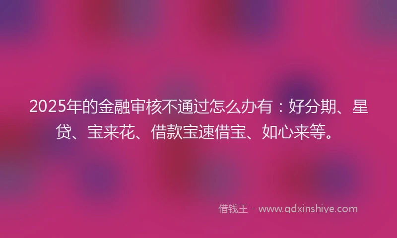 2025年的金融审核不通过怎么办有：好分期、星贷、宝来花、借款宝速借宝、如心来等。