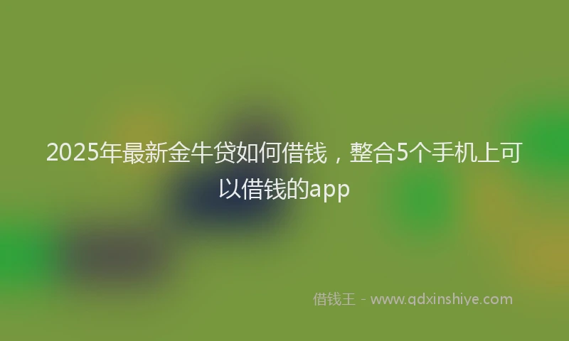 2025年最新金牛贷如何借钱，整合5个手机上可以借钱的app