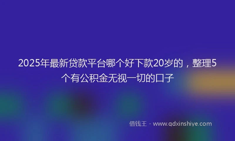 2025年最新贷款平台哪个好下款20岁的，整理5个有公积金无视一切的口子