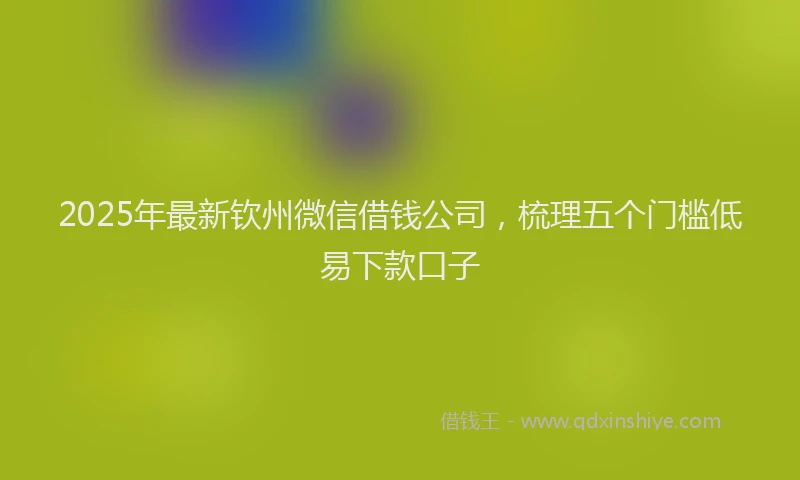 2025年最新钦州微信借钱公司，梳理五个门槛低易下款口子