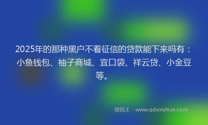 2025年的那种黑户不看征信的贷款能下来吗有：小鱼钱包、柚子商城、宜口袋、祥云贷、小金豆等。