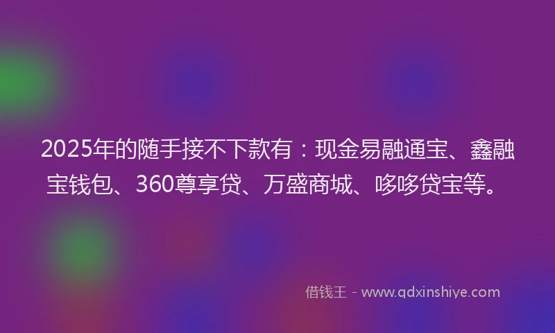 2025年的随手接不下款有：现金易融通宝、鑫融宝钱包、360尊享贷、万盛商城、哆哆贷宝等。
