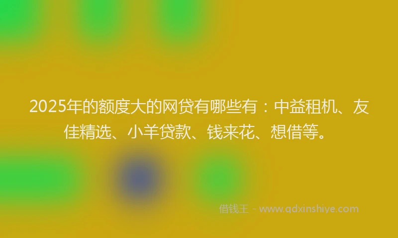 2025年的额度大的网贷有哪些有：中益租机、友佳精选、小羊贷款、钱来花、想借等。