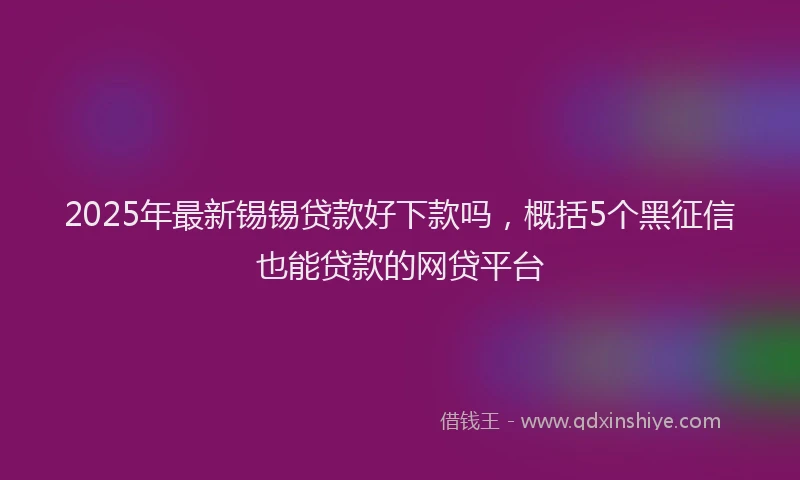 2025年最新锡锡贷款好下款吗，概括5个黑征信也能贷款的网贷平台