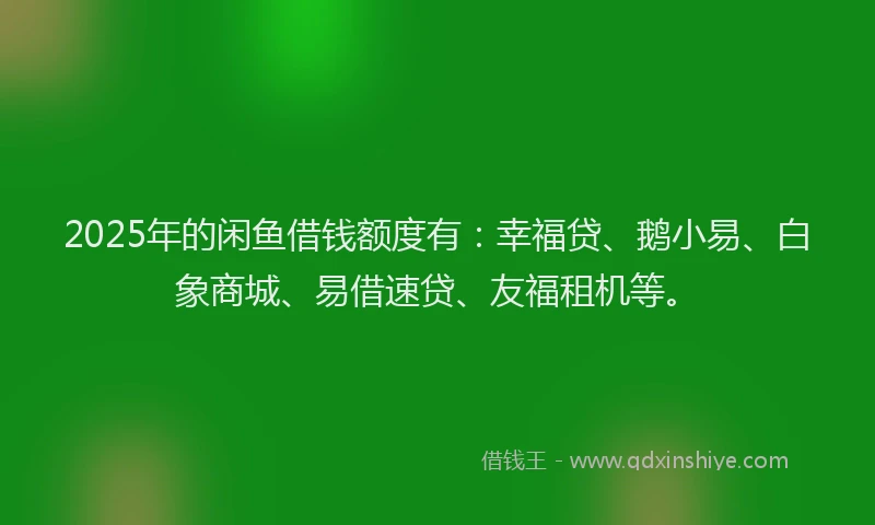 2025年的闲鱼借钱额度有：幸福贷、鹅小易、白象商城、易借速贷、友福租机等。