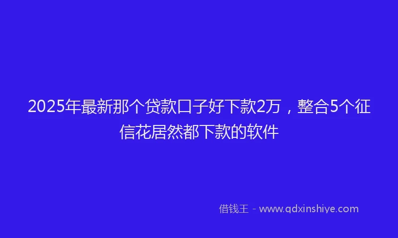 2025年最新那个贷款口子好下款2万，整合5个征信花居然都下款的软件