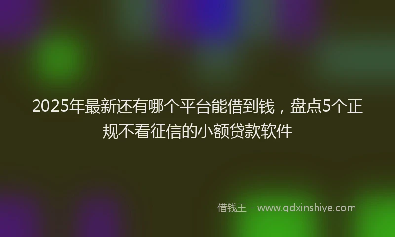 2025年最新还有哪个平台能借到钱，盘点5个正规不看征信的小额贷款软件