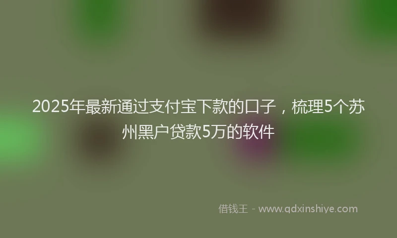 2025年最新通过支付宝下款的口子，梳理5个苏州黑户贷款5万的软件