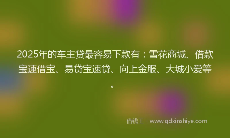 2025年的车主贷最容易下款有：雪花商城、借款宝速借宝、易贷宝速贷、向上金服、大城小爱等。