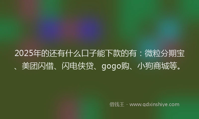 2025年的还有什么口子能下款的有：微粒分期宝、美团闪借、闪电侠贷、gogo购、小狗商城等。